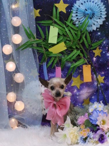 20250703ふみちゃん